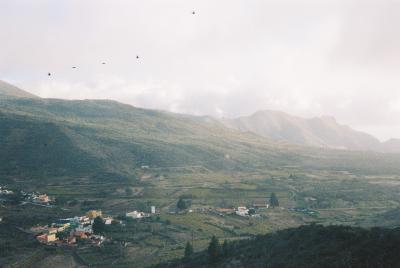 tenerife.jpg
